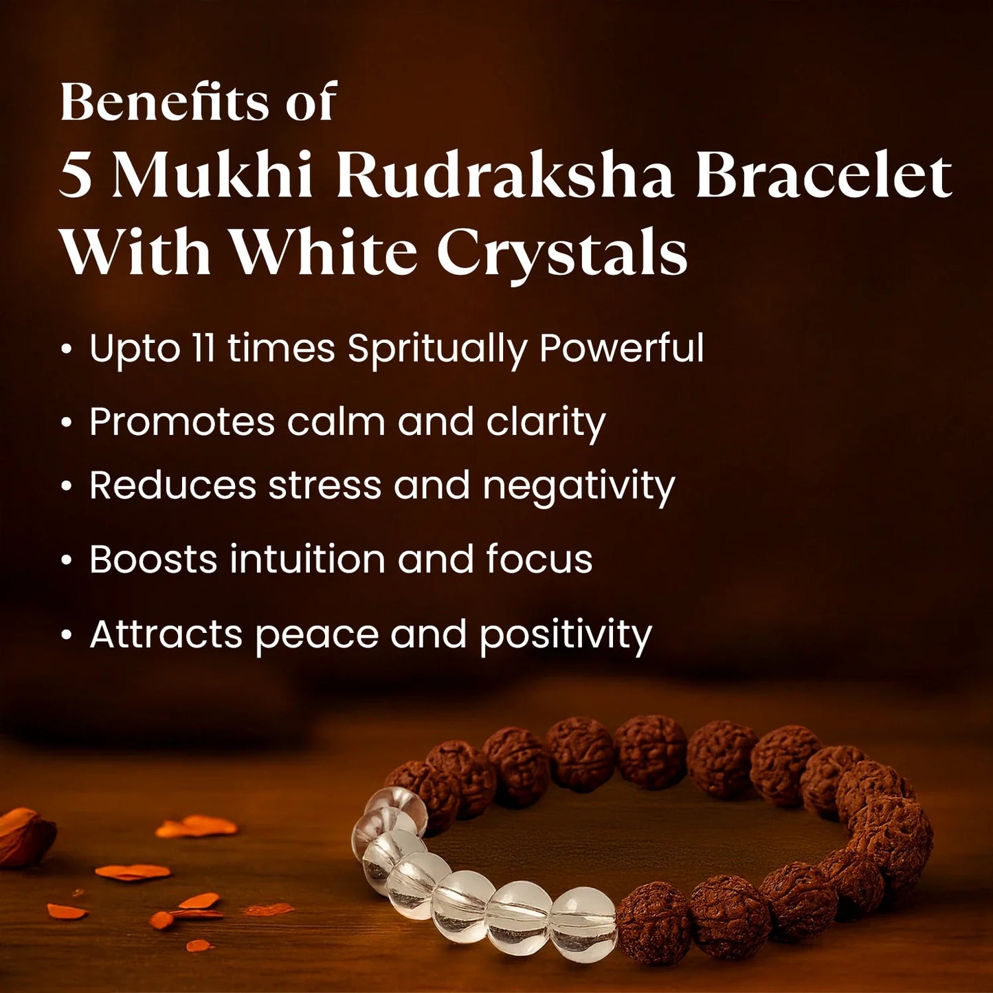 Kashi Siddh 5 Mukhi Rudraksha Bracelet With White Crystals