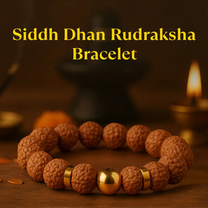Kashi Siddh Dhan Rudraksha Bracelet