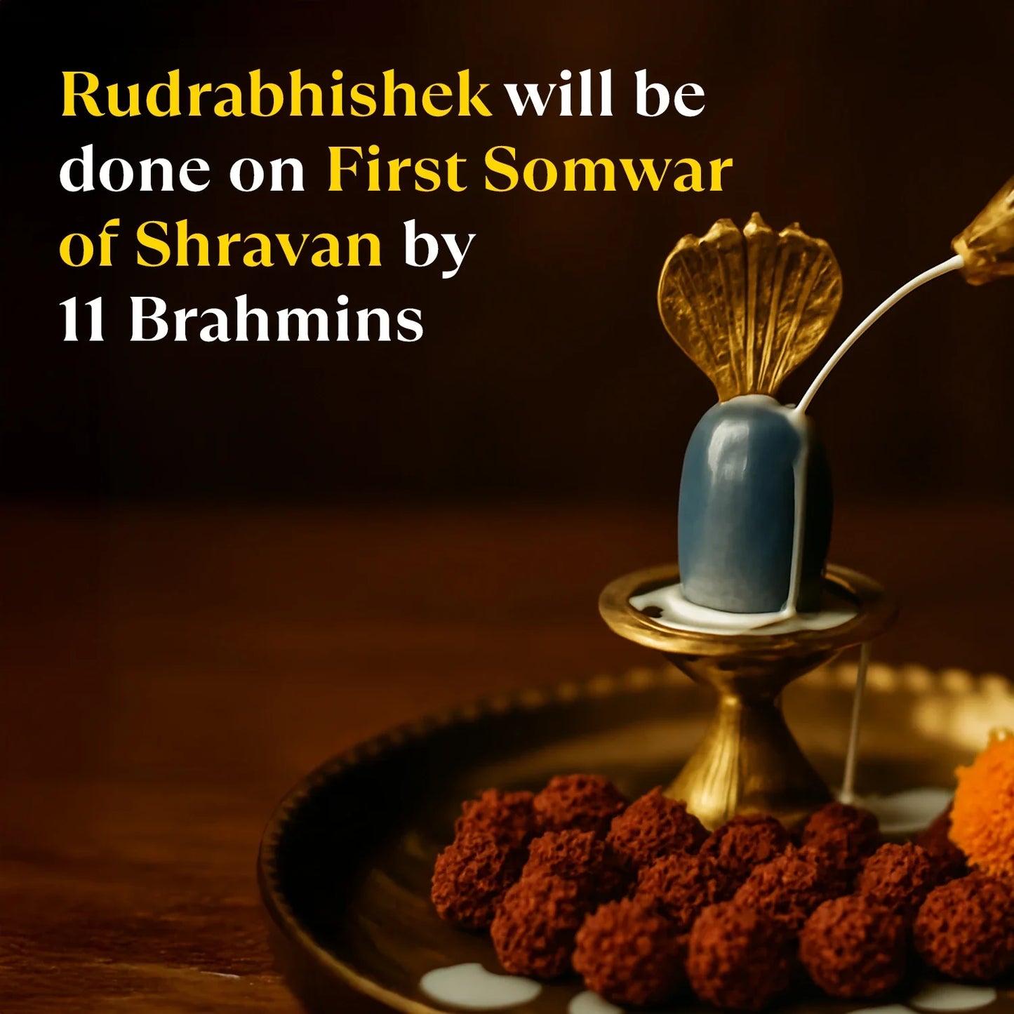 Kashi Siddh Dhan Rudraksha Bracelet